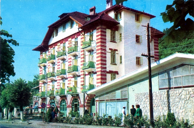 1254 - Calimanesti. Vila carpati
